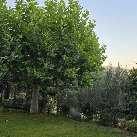 Villa Privacy Eco Of 2025 Teg Hill With No Neighbours Tirana