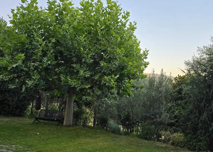 Вилла Privacy Eco Of 2025 Teg Hill With No Neighbours Тирана